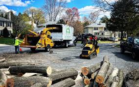 Best Landscape Design and Installation  in Covgton, IN