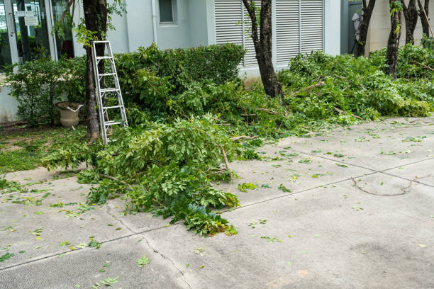 Best Commercial Tree Services  in Covgton, IN